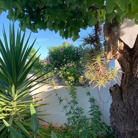Casa Na Colina : The And The Long House *