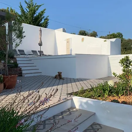 Casa de Férias Casa Na Colina : The And The Long House