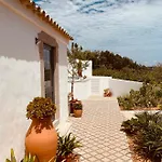 別荘 Casa Na Colina : The And The Long House São Brás de Alportel